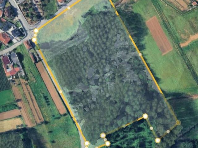 Terreno rustico com viabilidade de construção