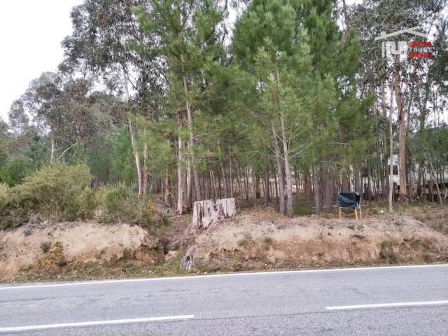 Terreno rústico com viabilidade de construção