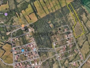 Já imaginou acordar todos os dias com a silhueta mística do Palácio da Pena no horizonte?