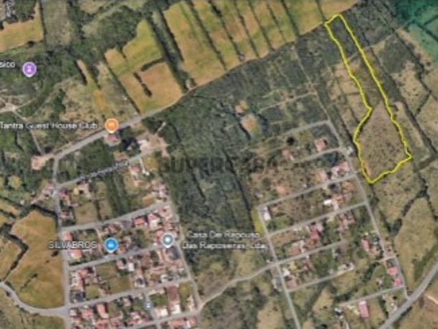 Já imaginou acordar todos os dias com a silhueta mística do Palácio da Pena no horizonte?