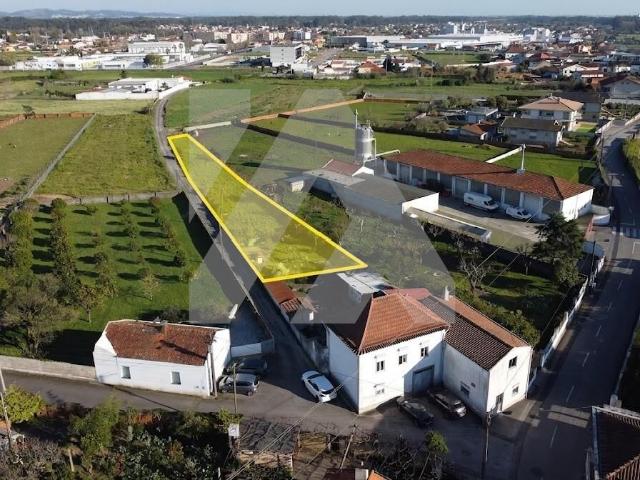 Terreno Rústico com Viabilidade de Construção Avanca