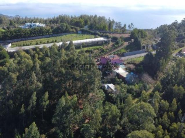 Terreno Rústico com Viabilidade de Construção Camacha