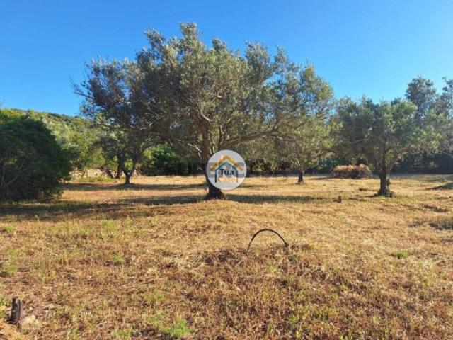 Terreno Rústico com Viabilidade de Construção de Duas Moradias na Goldra de Cima, Loulé