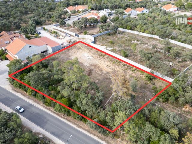 Terreno Rústico com Viabilidade de Construção na Estrada de Torres Novas