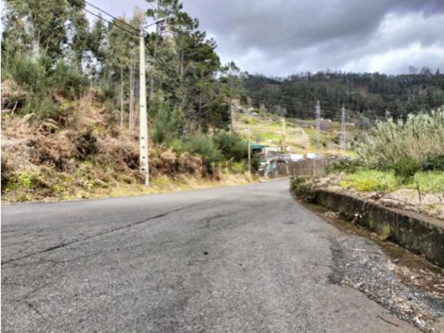 Terreno Rústico com Vista Mar e Montanha 4.430 m² | Tanque da Borda Barreiro e Feiteiras