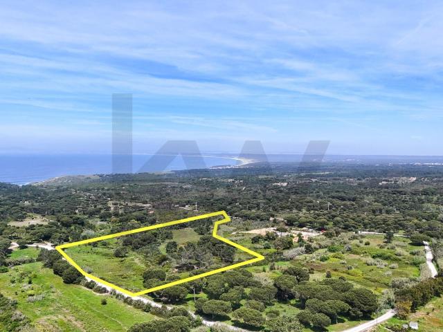 Terreno Rústico com Vista Mar e Viabilidade Construtiva em Azóia, Sesimbra