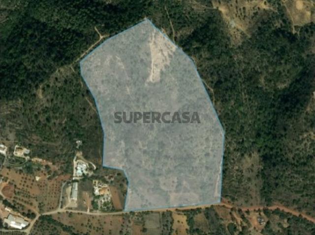 Terreno Rústico com Vista Montanhosa, São Brás de Alportel