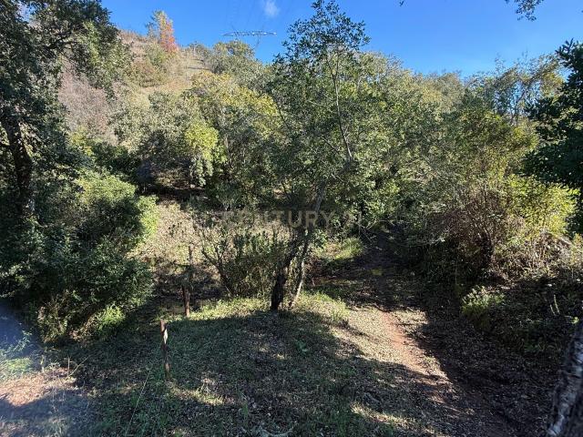 Terreno Rústico com Vista Deslumbrante em Porte Nobre, Querença, Loulé