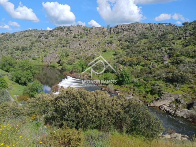 Terreno Rústico com Vista Deslumbrante para o Rio – Segura, Idanha a Nova