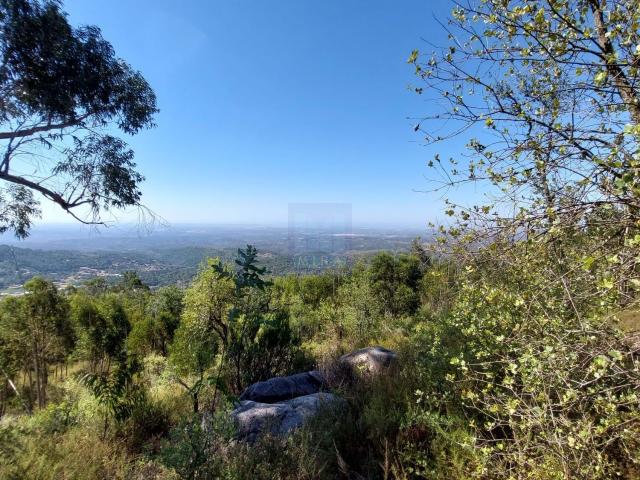 Terreno rústico com vista panorâmica perto da Foia em Monchique