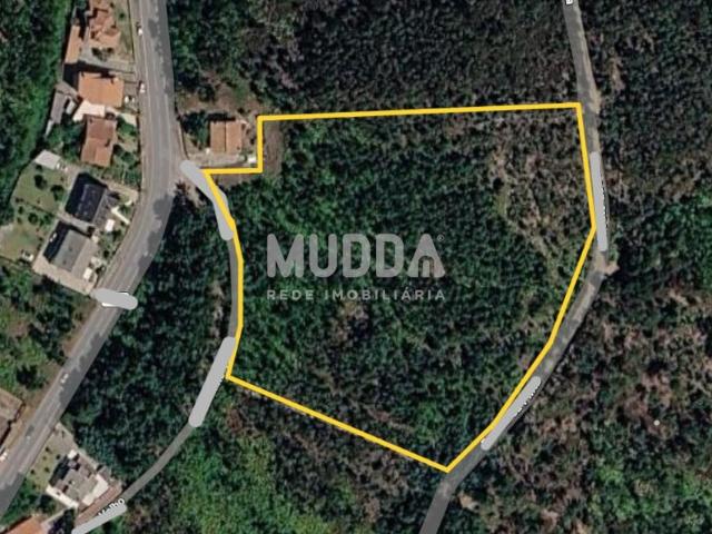 Terreno Rústico com 14.060 m² em Canedo, Santa Maria da Feira