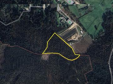 Terreno Rústico com 15.536,9m² em Pinheiro da Bemposta OAZ