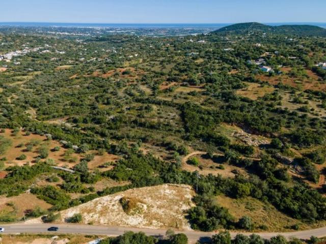 Terreno Rústico com 15.720m2 em Agostos Santa Barbara de Nexe Faro