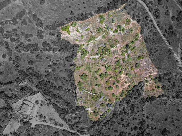 Terreno rústico com 15.830 m² localizado na prestigiada zona da Torre, em Armação de Pêra