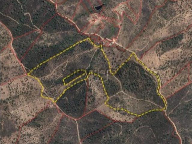 Terreno rústico com 160480m2, localizado em Quartelha São Bartolomeu de Messines