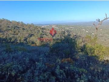 Terreno Rústico com 16 000 m2 em Paderne Algarve