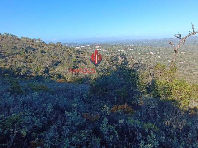 Terreno Rústico com 16 000 m2 em Paderne Algarve
