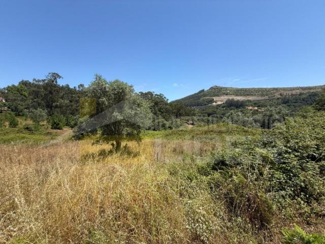 Terreno Rústico com 16.760 m2 em Lousa, Loures