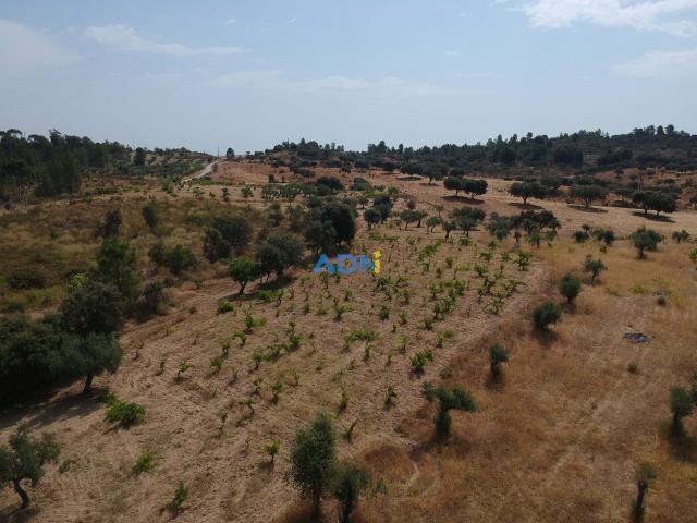 Terreno Rústico com 17.652 m² – União de Freguesias de Juncal do Campo e Freixial