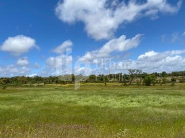 Terreno Rústico com 18,12 ha, para venda no Cercal do Alentejo