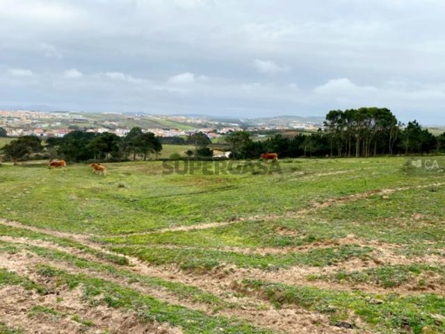 Terreno Rústico com 18,6 ha em São Pedro da Cadeira, Torres Vedras