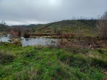 Terreno Rustico com 10000m2 Sobrainho da Ribeira