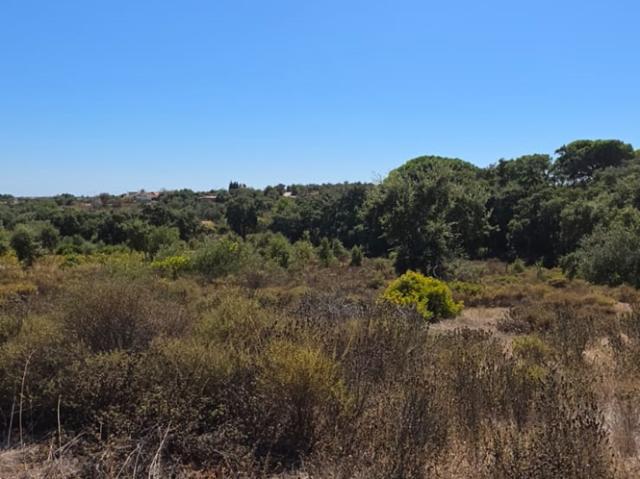 Terreno Rustico com 10270m2 em Faxelhas Silves