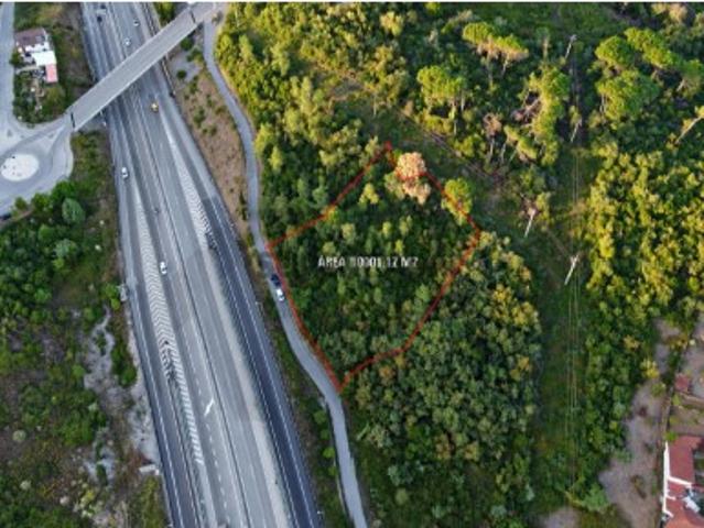 Terreno rústico com 10.001 m² em Cruz dos Morouços, Santa Clara Coimbra