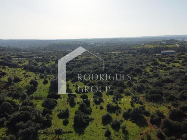 Terreno Rústico com 10,2 Hectares em Odiáxere Potencial para Quinta e Casa de Campo