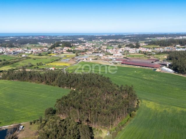 Terreno Rústico com 10.350 m² | Rua do Batel Guilhabreu