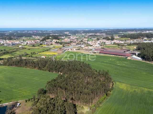 Terreno Rústico com 10.350 m² | Rua do Batel – Guilhabreu