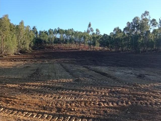 Terreno Rústico com 10.760 m² Mação