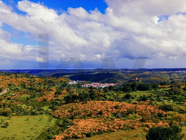 Terreno Rústico com 112.025 m² em Belver – Potencial Agrícola, Florestal ou Turístico