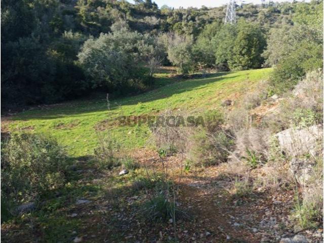Terreno Rústico com 11.080 m² em Alcaria Cova Vista Mar Deslumbrante!