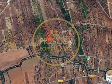 Terreno Rústico com 11.100 m² em Alfanzina – Paderne