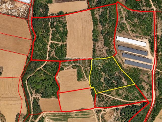 Terreno Rústico com 11.680 m² em Arranhó | Arruda dos Vinhos