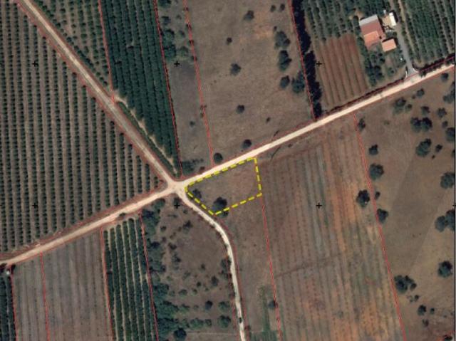 Terreno Rústico com 1200m2, Benaciate Silves