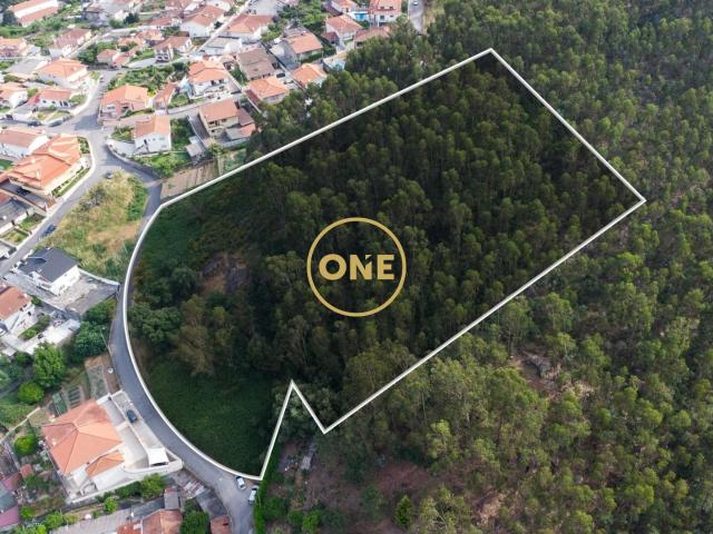 Terreno Rústico com 12.000 m² em Calendário – Vila Nova de Famalicão
