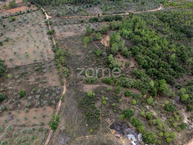 Terreno Rústico com 12.120 m² em Freixial do Campo Castelo Branco