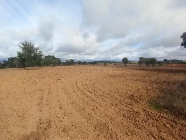 Terreno Rustico com 13500 M2 Lardosa