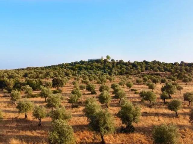 Terreno rústico com 135.500 m2 em solo urbano, urbanizável em Estremoz