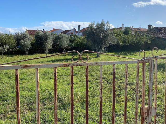 Terreno Rústico com 1360m2 em Benquerenças Castelo Branco