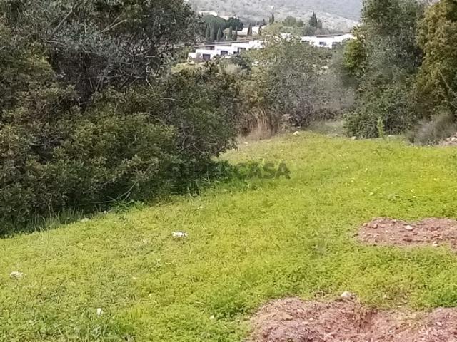 Terreno Rustico com 1394 m2, Loulé, Algarve