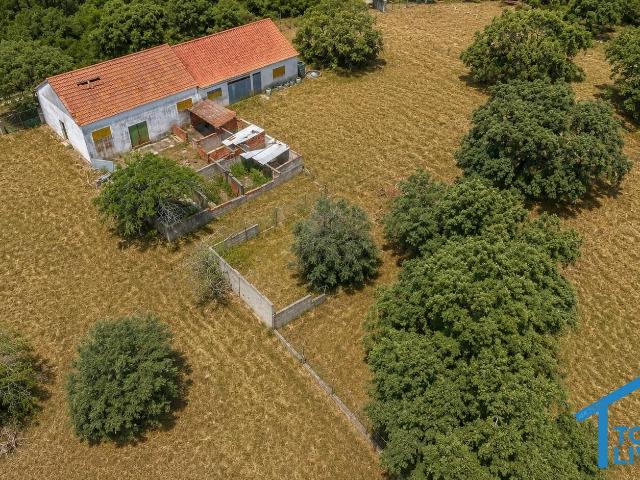 Terreno Rústico com 13.300 m2 e Construção de Apoio Agrícola – Excelente Oportunidade no Centro de Portugal