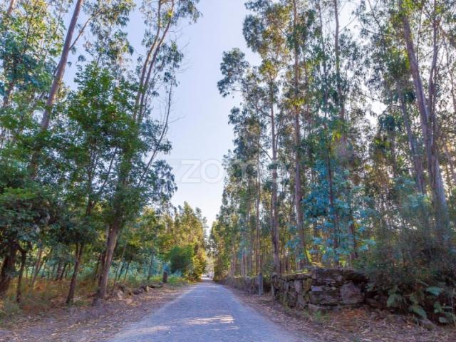 Terreno Rústico com 13.470 m2 em Monte Córdova Santo Tirso