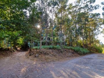 Terreno Rústico com 13.470 m2 em Monte Córdova Santo Tirso