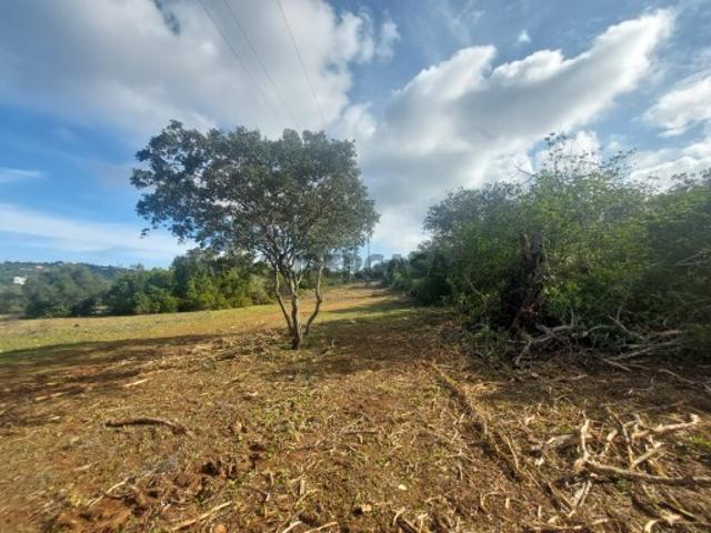 Terreno Rústico com 13.600 m²