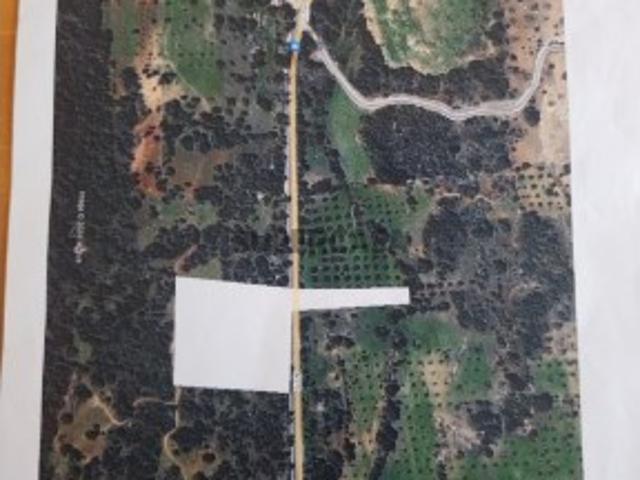 Terreno rústico com 13.600m2 entre Loulé e São Brás