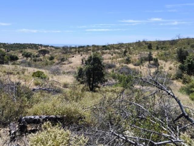 TERRENO RUSTICO COM 13.790 M2 VISTA MAR COM POÇO PRÓXMO AO GOLFE EM VILA NOVA DE CACELA VRSA ALGARVE