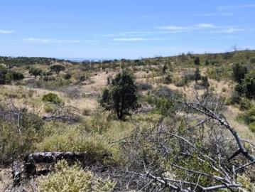 TERRENO RUSTICO COM 13.790 M2 VISTA MAR COM POÇO PRÓXMO AO GOLFE EM VILA NOVA DE CACELA VRSA ALGARVE